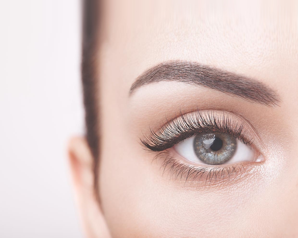 Powder brows permanent makeup close-up – Banbury Permanent Makeup by Lettie Stoykova